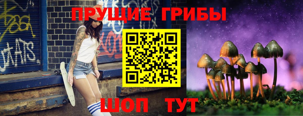 Галлюциногенные грибы Cubensis Корсаков